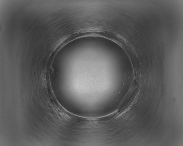 X0000054421162200507291241