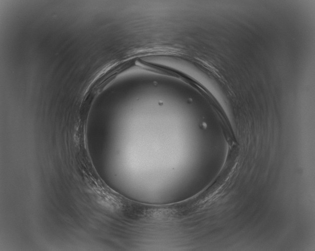 X0000054421163200507291241