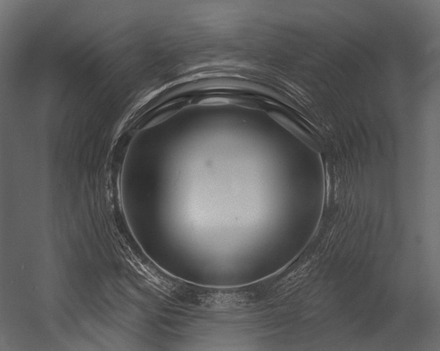 X0000054421164200507291241