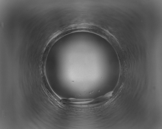 X0000054421166200507291241