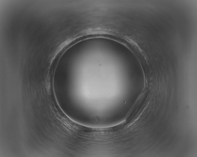 X0000054421167200507291241