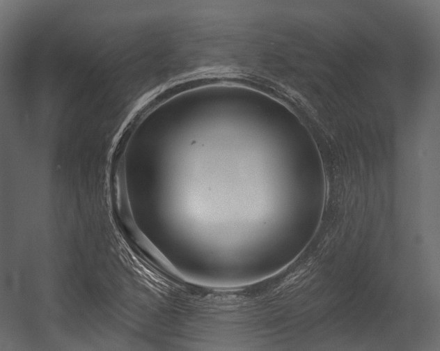 X0000054421168200507291241