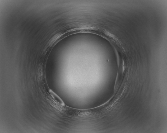 X0000054421169200507291241