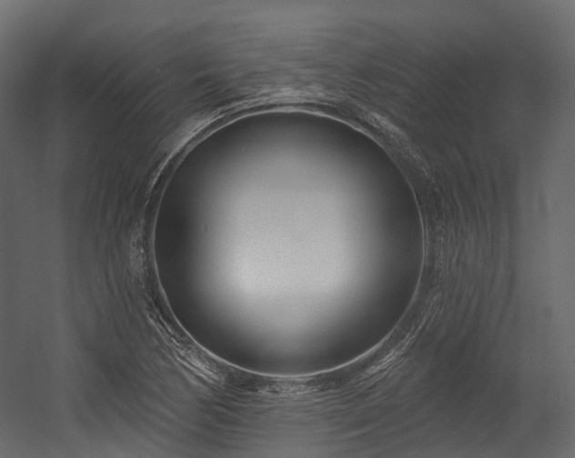 X0000054421170200507291241