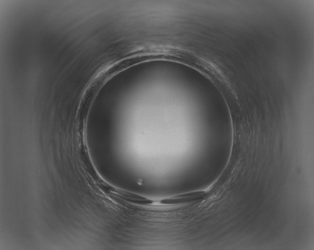 X0000054421172200507291241