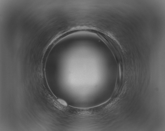 X0000054421173200507291241