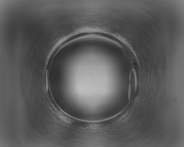 X0000054421175200507291241