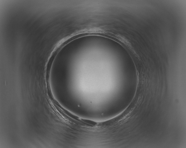 X0000054421176200507291241