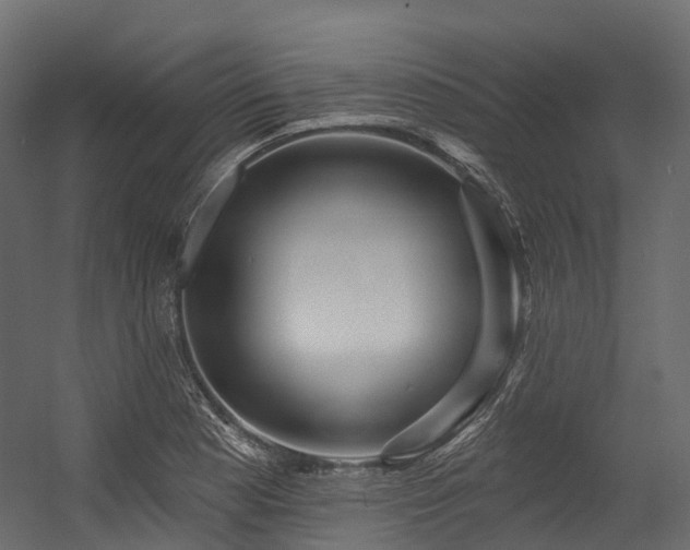 X0000054421177200507291241