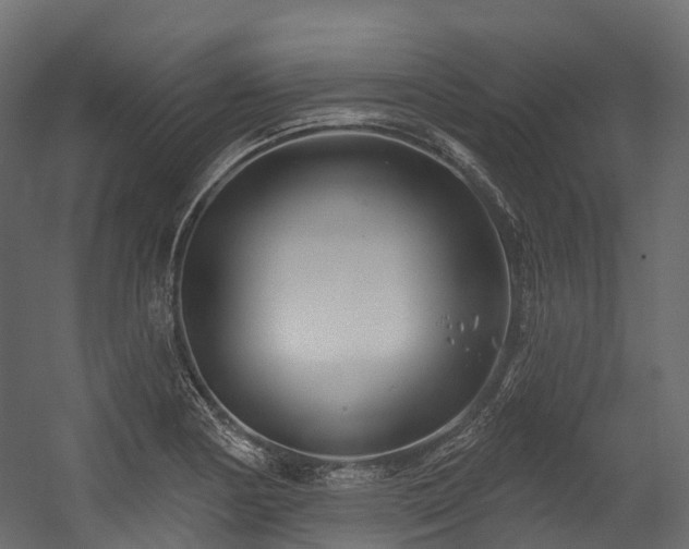 X0000054421178200507291241