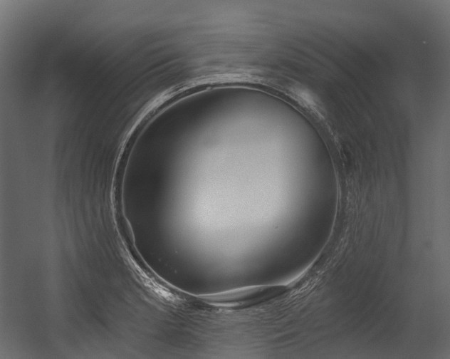 X0000054421181200507291241