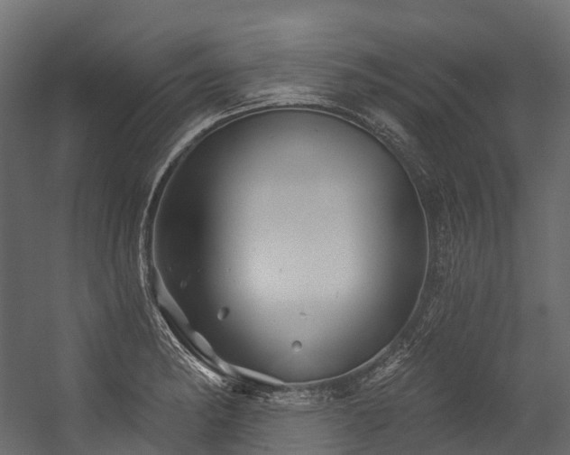 X0000054421182200507291241