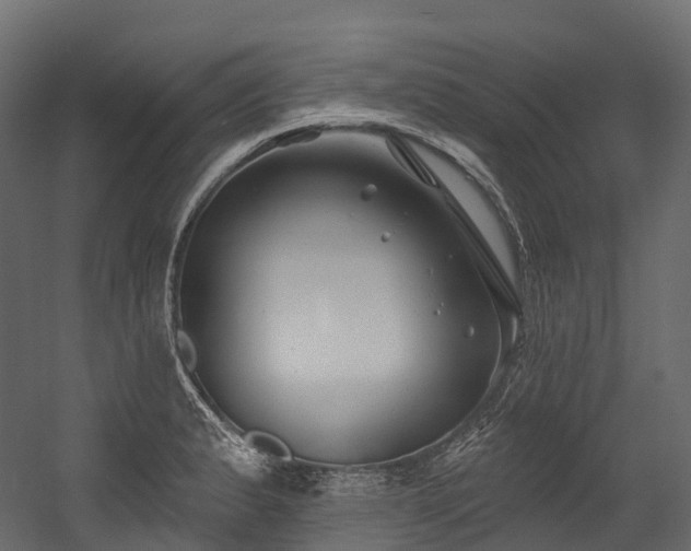 X0000054421183200507291241