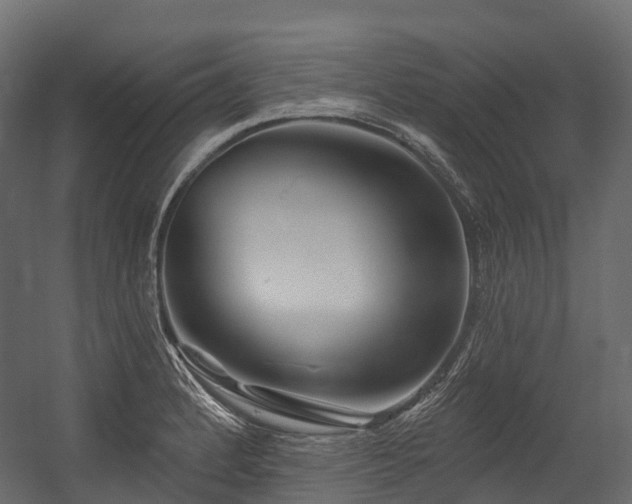 X0000054421184200507291241