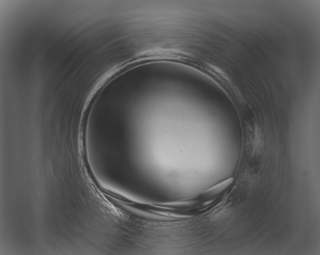 X0000054421188200507291241