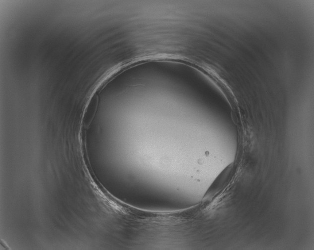 X0000054421189200507291241