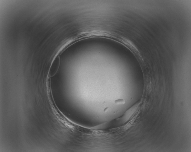 X0000054421190200507291241