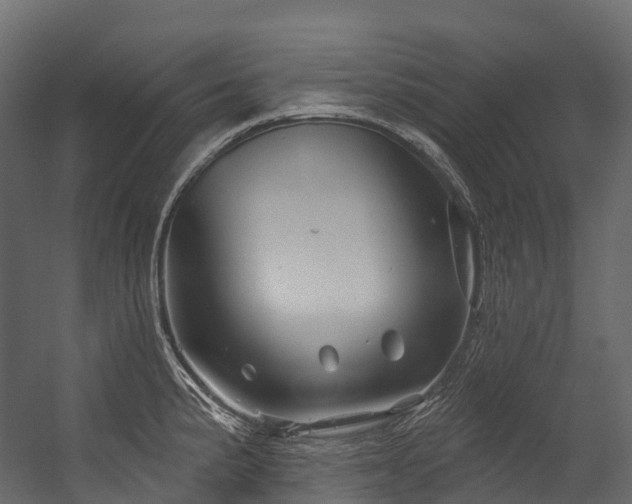 X0000054421191200507291241