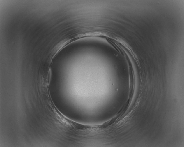 X0000054421193200507291241