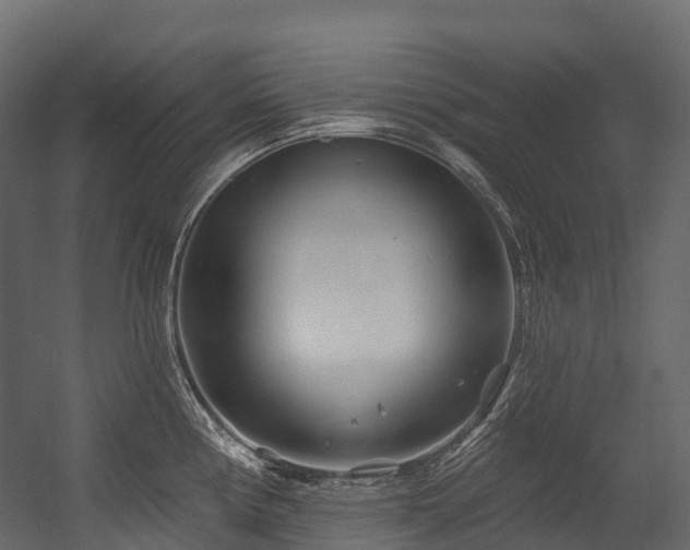 X0000054421194200507291241