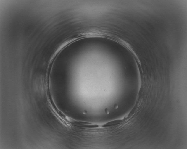 X0000054421195200507291241