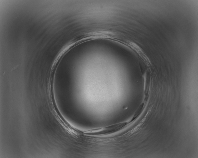 X0000054421196200507291241