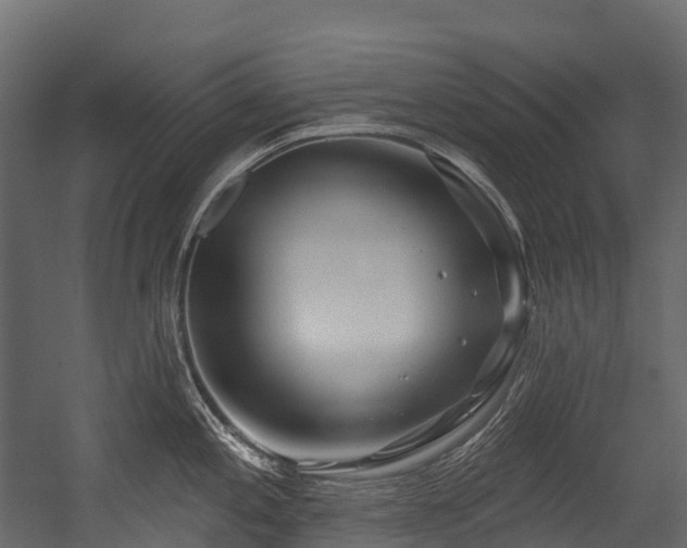 X0000054421197200507291241