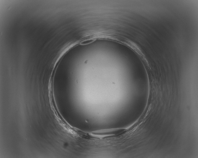 X0000054421198200507291241