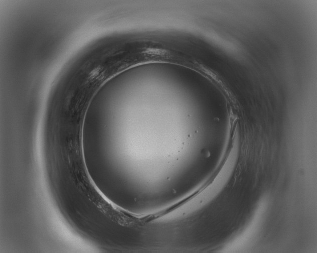 X0000054421199200507291241