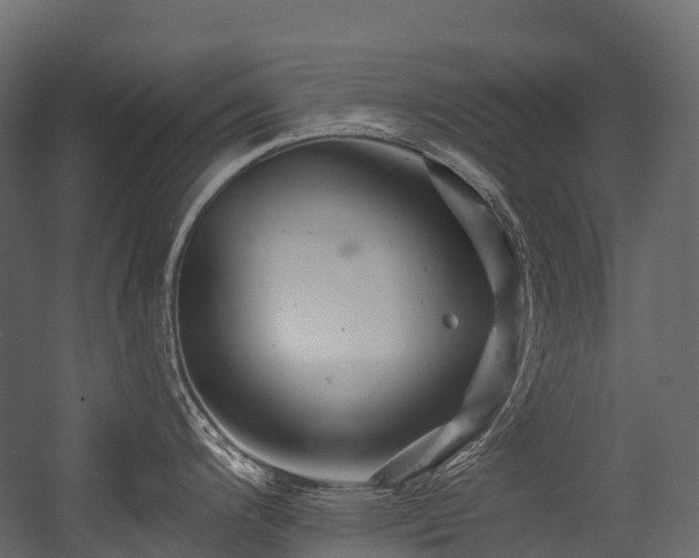 X0000054421200200507291241