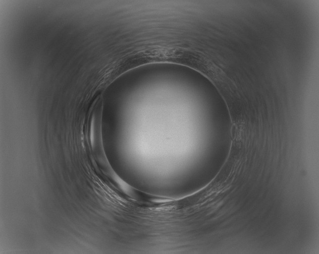 X0000054421202200507291240