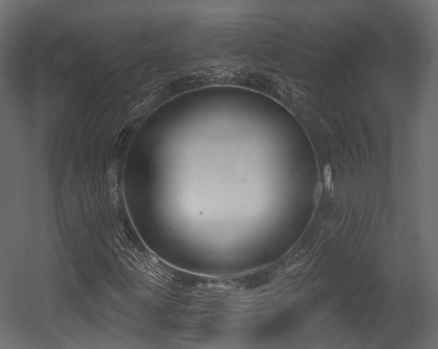 X0000054421203200507291240