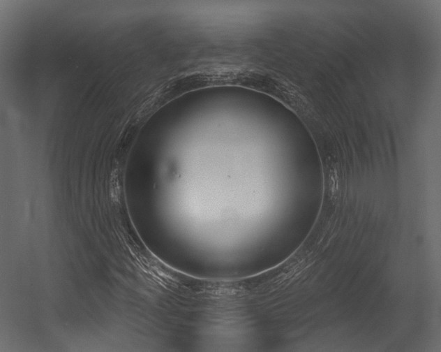 X0000054421204200507291240