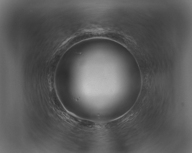 X0000054421205200507291240