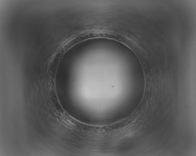 X0000054421207200507291240