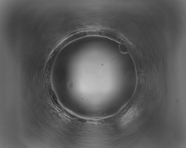 X0000054421208200507291240