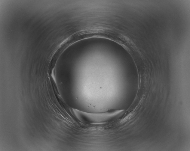 X0000054421210200507291240