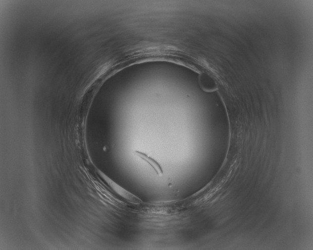 X0000054421211200507291240