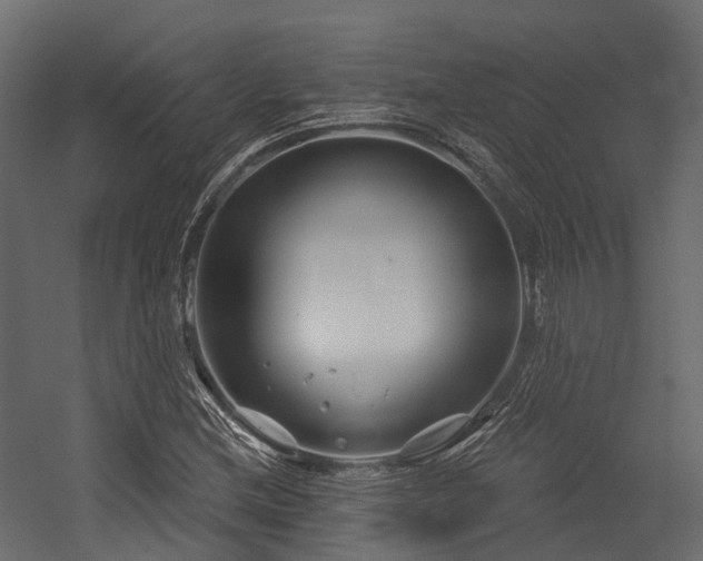 X0000054421212200507291240