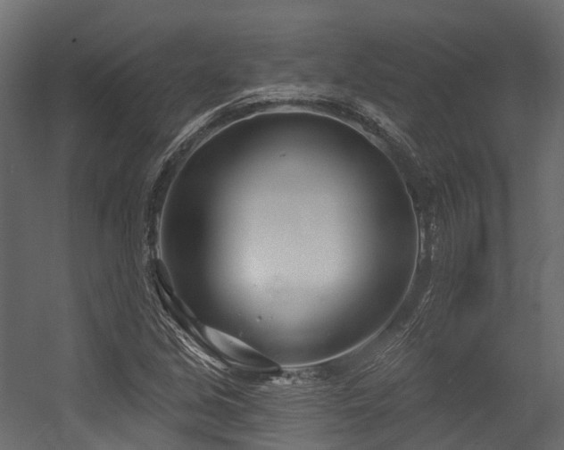 X0000054421213200507291240