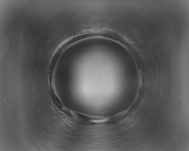 X0000054421214200507291240