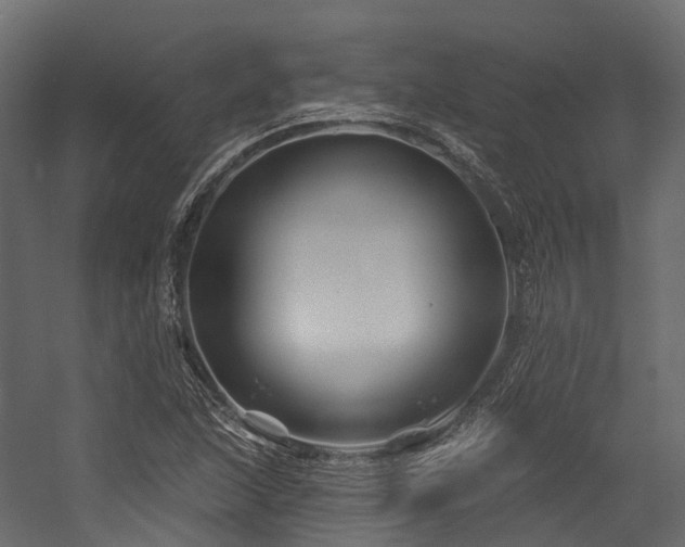 X0000054421215200507291240