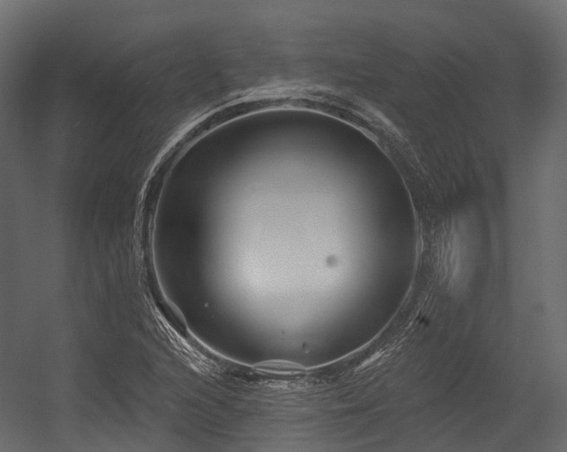 X0000054421216200507291240