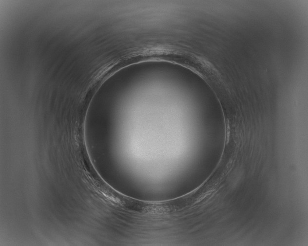 X0000054421217200507291240