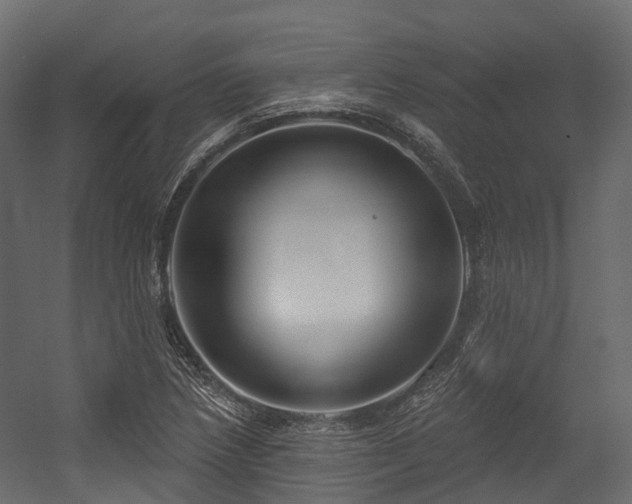 X0000054421218200507291240