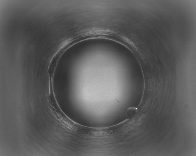 X0000054421219200507291240