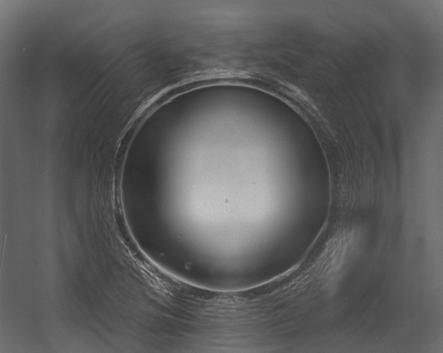 X0000054421220200507291240