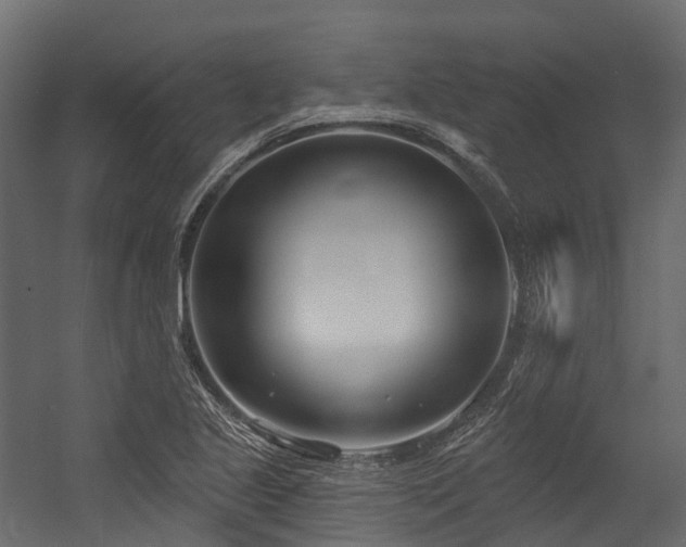 X0000054421221200507291240