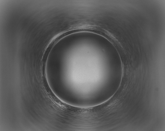 X0000054421222200507291240