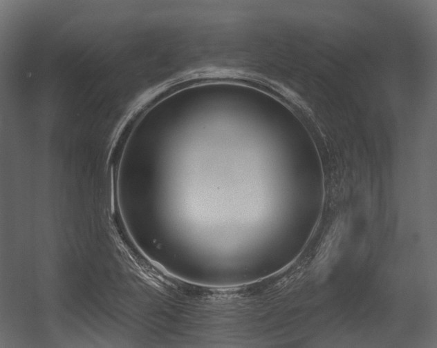 X0000054421223200507291240